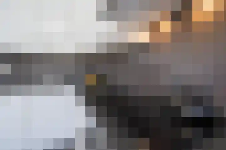 Schuttebeemd 48 Weert thumbnail 13