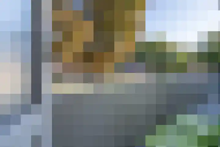 Schuttebeemd 48 Weert thumbnail 24