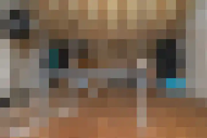 Schuttebeemd 48 Weert thumbnail 25