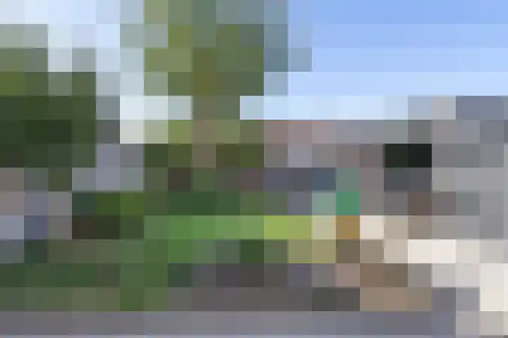 Schuttebeemd 48 Weert thumbnail 28