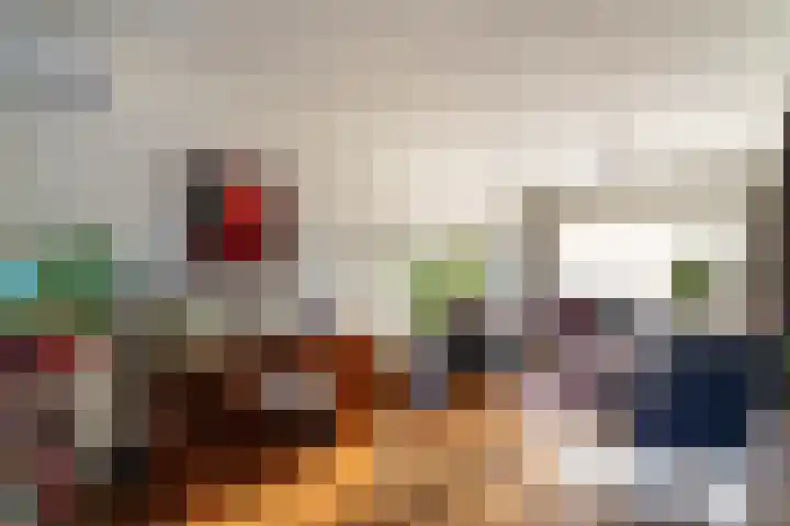 Schuttebeemd 51 Weert thumbnail 15