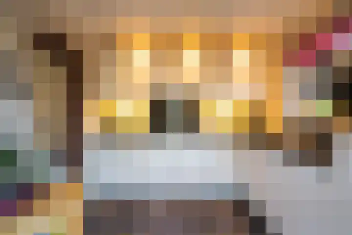 Schuttebeemd 51 Weert thumbnail 19