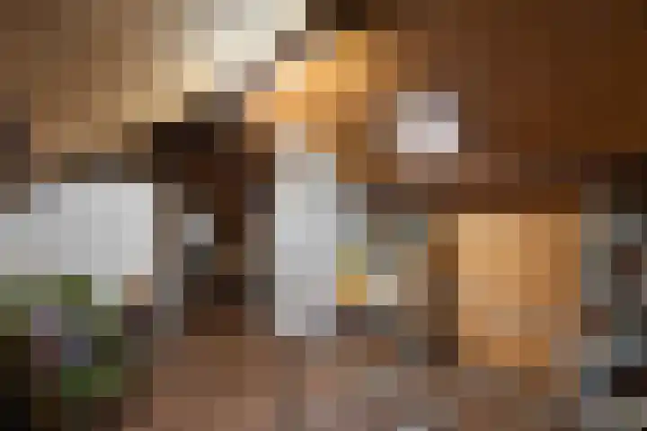 Schuttebeemd 51 Weert thumbnail 33