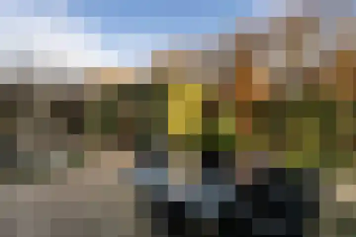 Schuttebeemd 51 Weert thumbnail 34