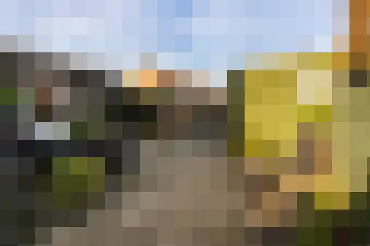 Schuttebeemd 51 Weert thumbnail 35