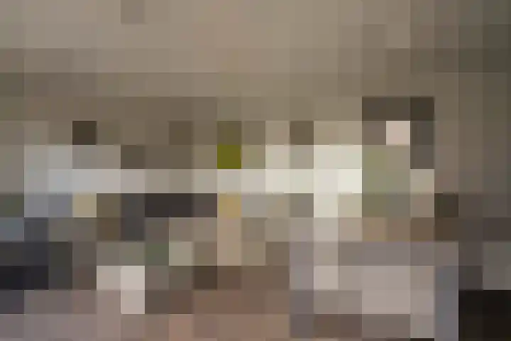 Schuttebeemd 51 Weert thumbnail 41