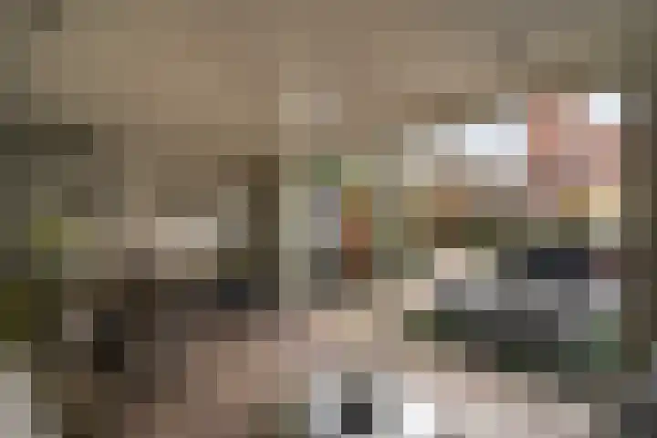 Schuttebeemd 51 Weert thumbnail 42
