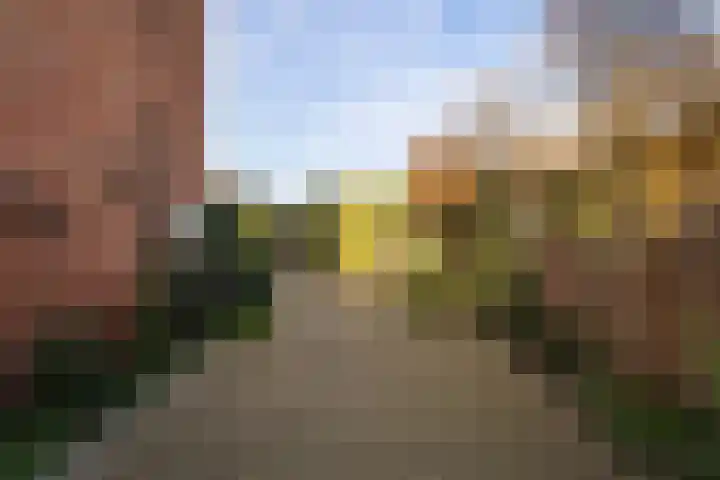 Schuttebeemd 51 Weert thumbnail 46