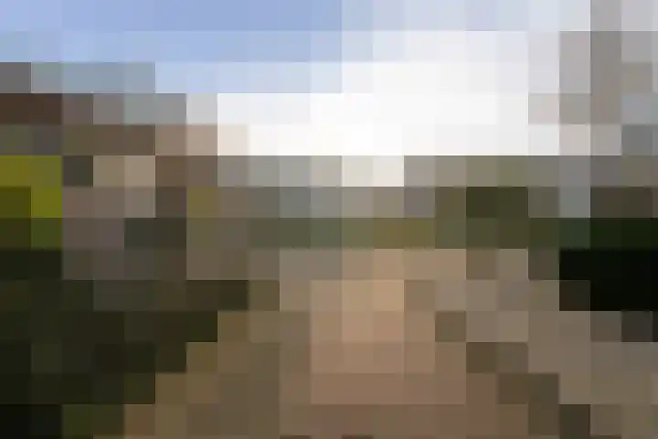 Schuttebeemd 51 Weert thumbnail 48