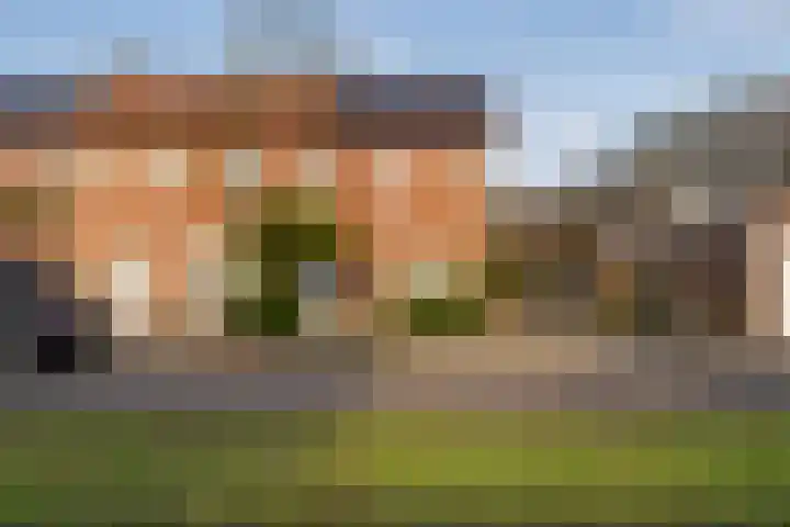 Schuttebeemd 51 Weert thumbnail 49
