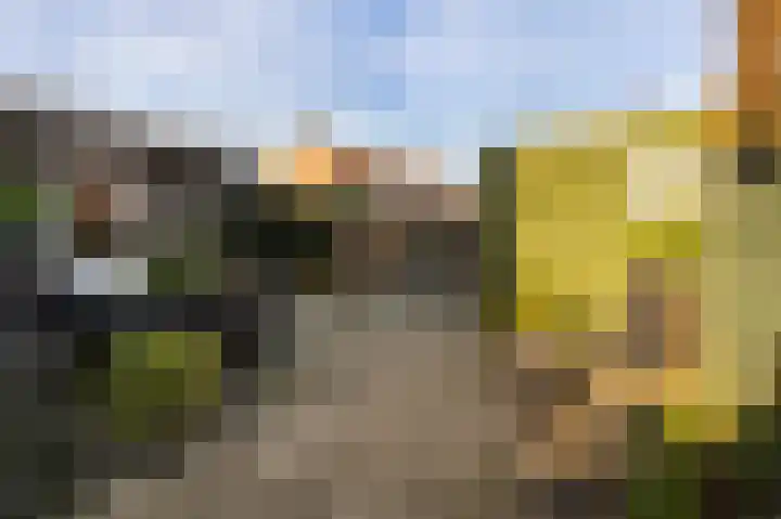 Schuttebeemd 51 Weert thumbnail 5