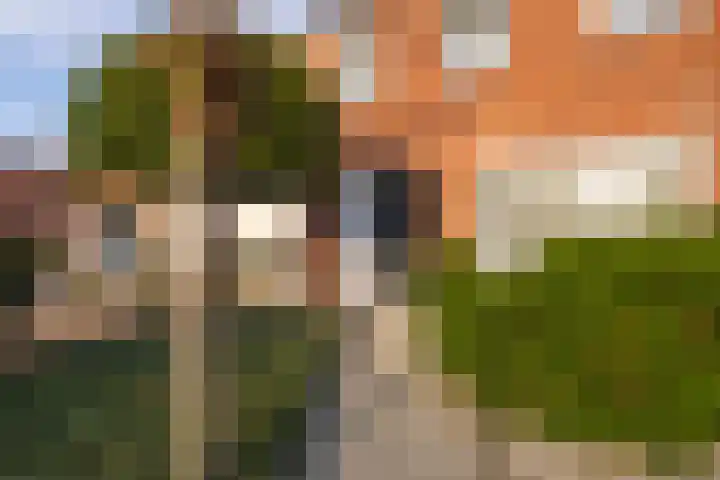 Schuttebeemd 51 Weert thumbnail 7