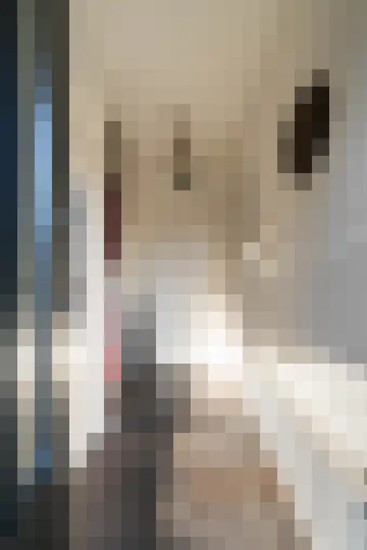 Schuttebeemd 51 Weert thumbnail 9