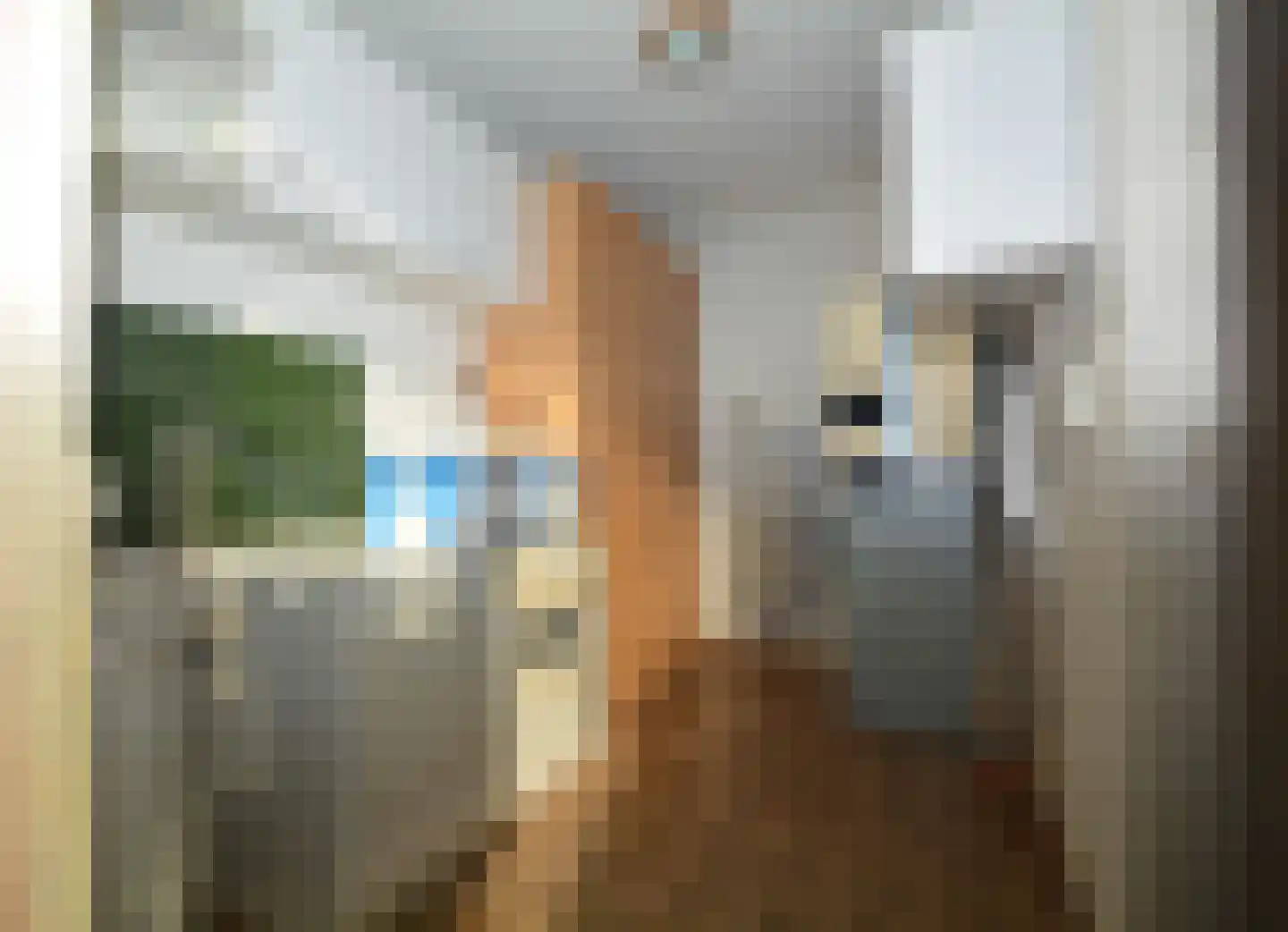 Schuttebochtlaan 35 Oostburg thumbnail 20