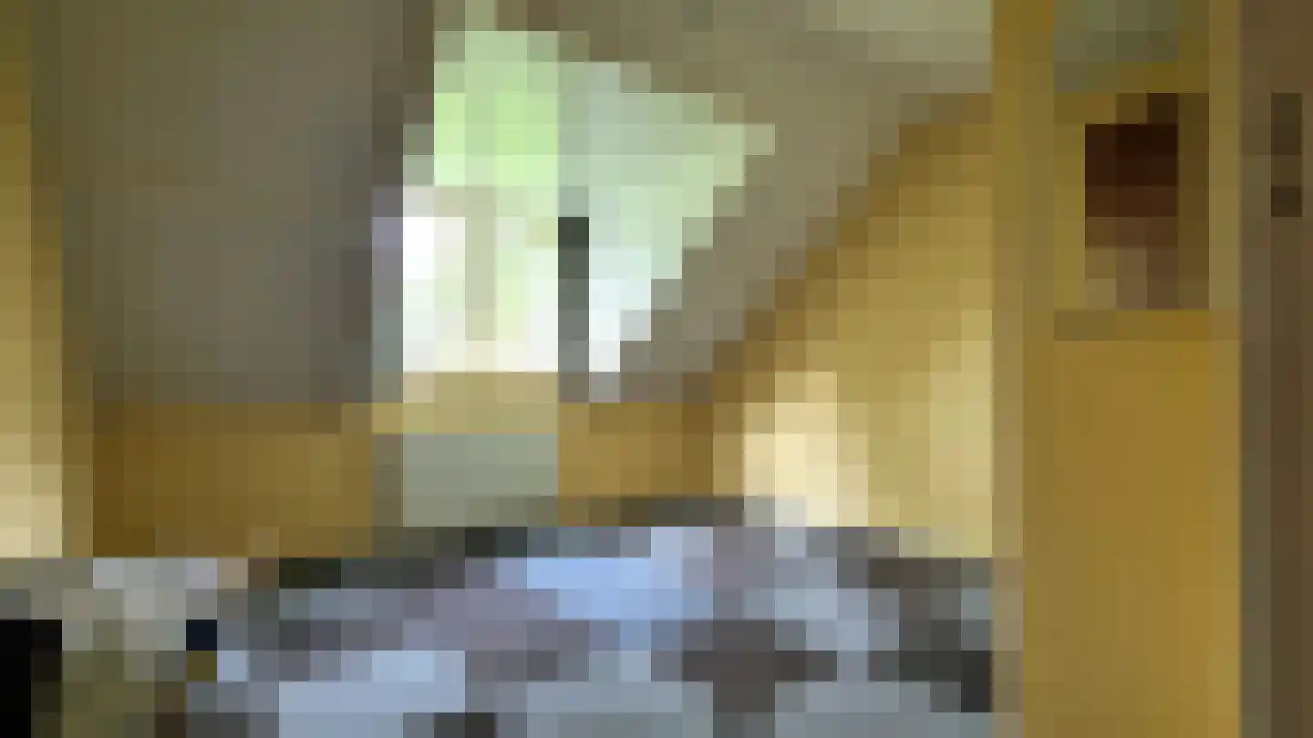 Schuttebochtlaan 35 Oostburg thumbnail 30