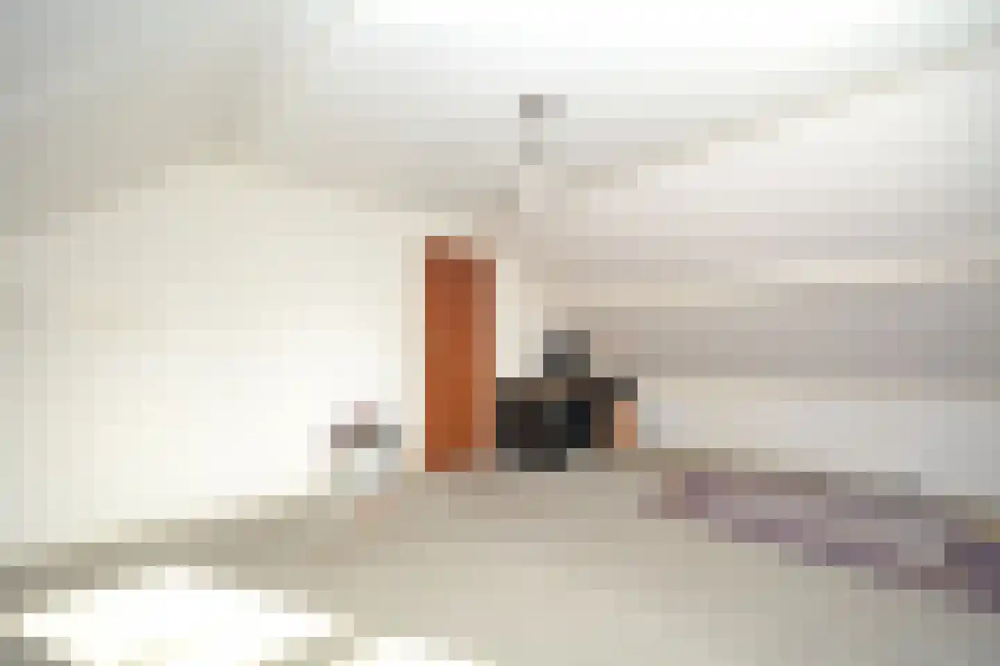 Schuttebochtlaan 35 Oostburg thumbnail 34