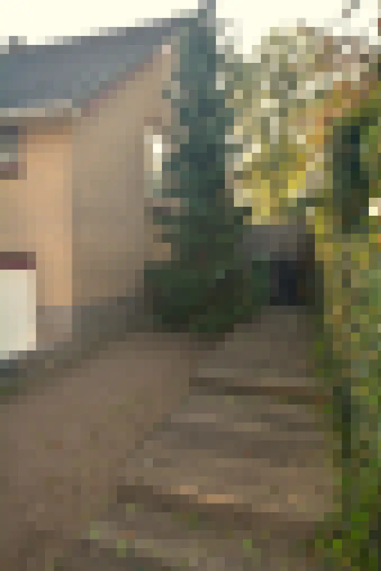 Schuttebochtlaan 35 Oostburg thumbnail 40