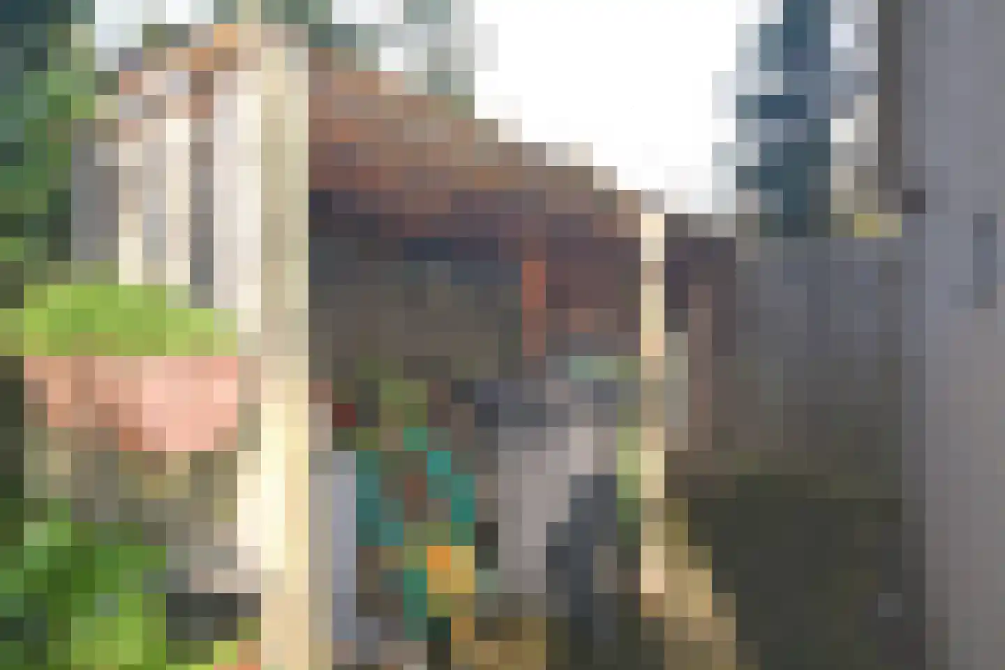 Schuttebochtlaan 35 Oostburg thumbnail 47