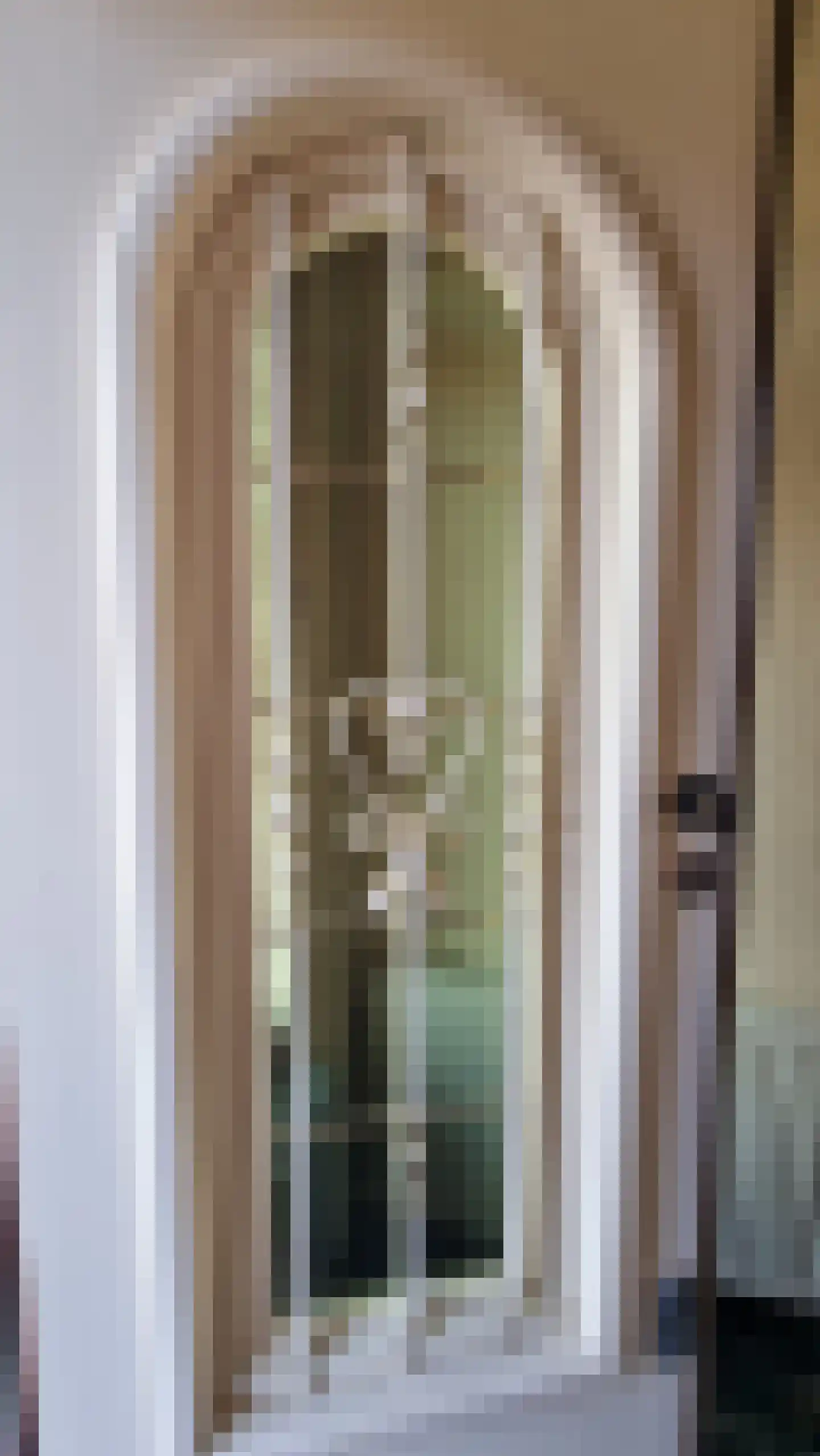 Schuttebochtlaan 35 Oostburg thumbnail 50