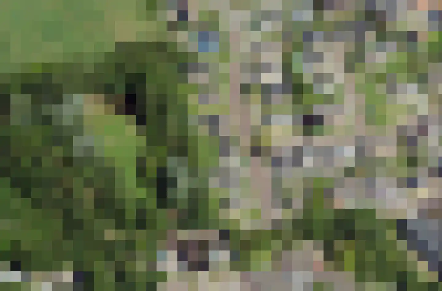 Schuttebochtlaan 35 Oostburg thumbnail 54