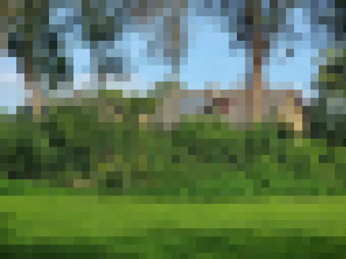 Schuttebochtlaan 35 Oostburg thumbnail 55