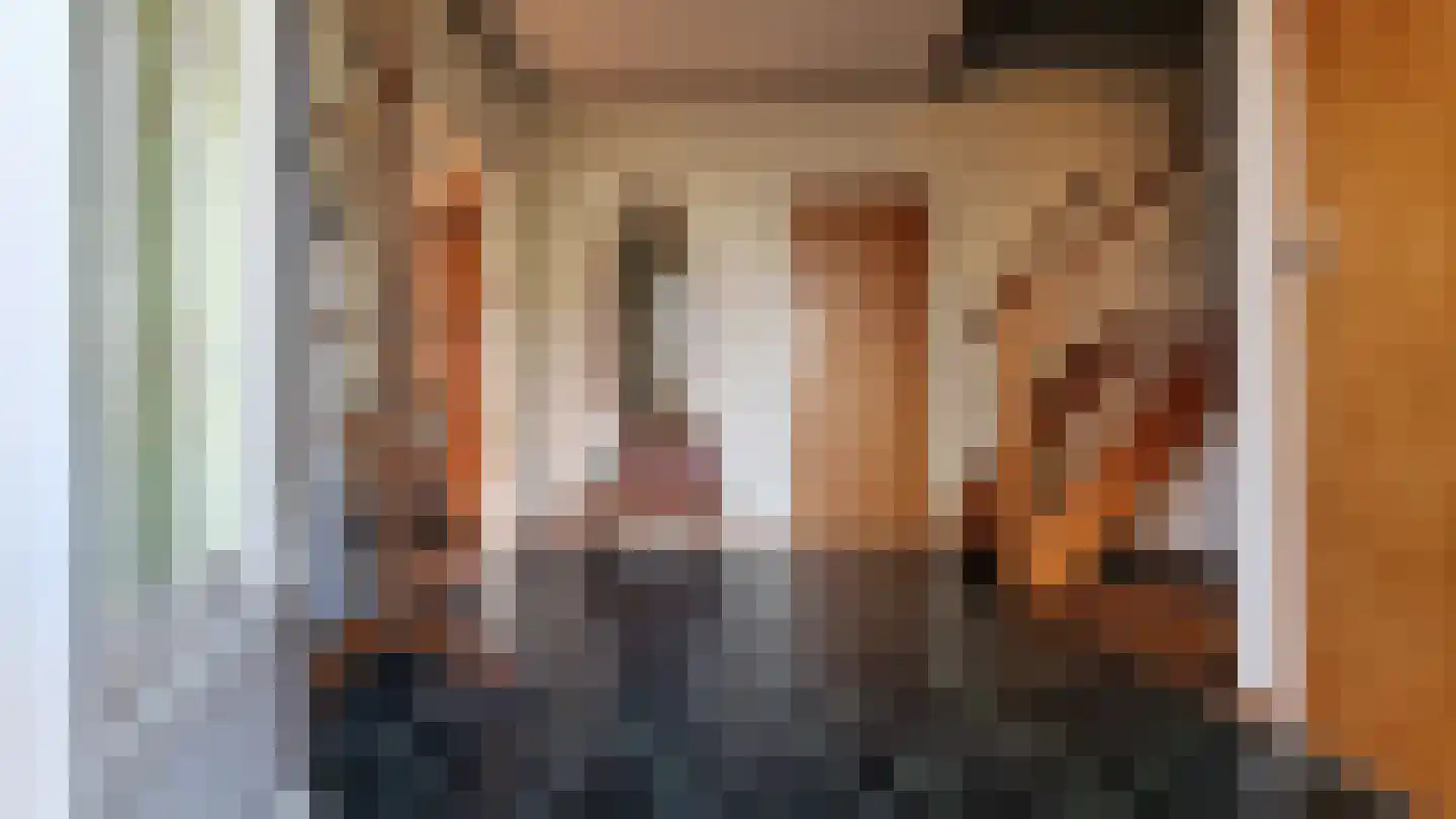 Schuttebochtlaan 35 Oostburg thumbnail 6