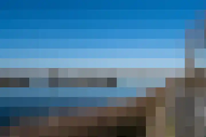 Schutteboom 11 Swalmen thumbnail 12