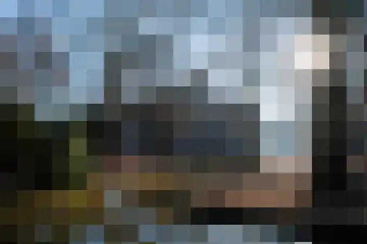 Schutteboom 11 Swalmen thumbnail 9