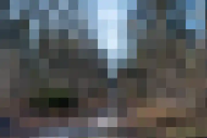 Schutteboom 3 Swalmen thumbnail 11
