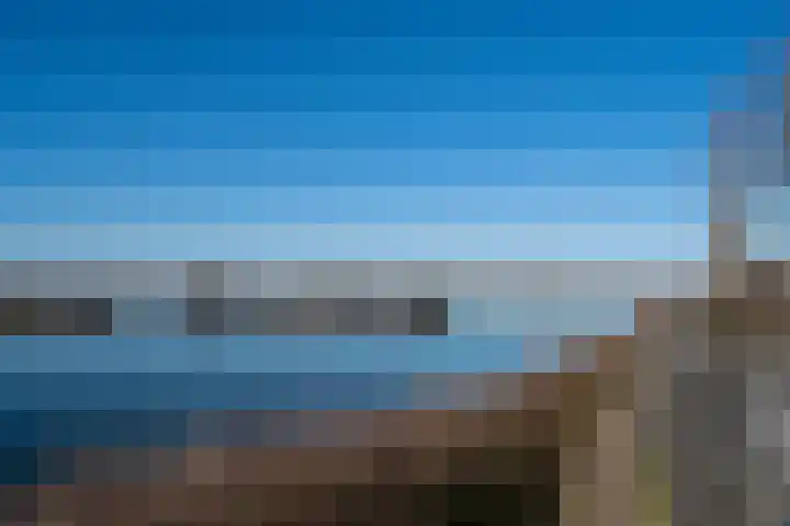 Schutteboom 3 Swalmen thumbnail 13