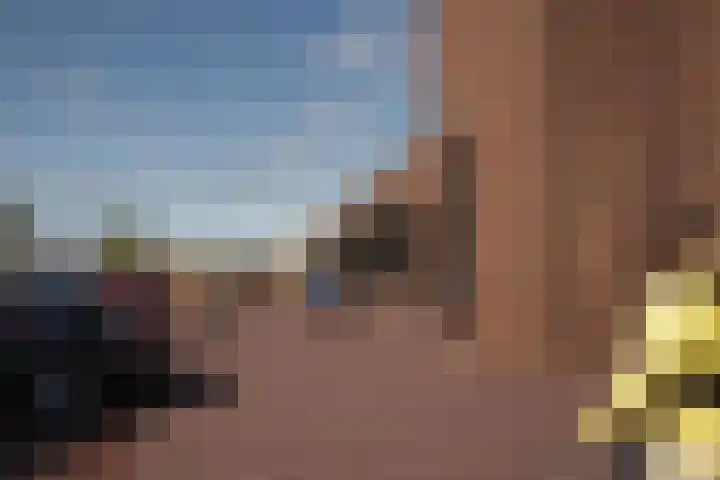 Schutteboom 3 Swalmen thumbnail 6
