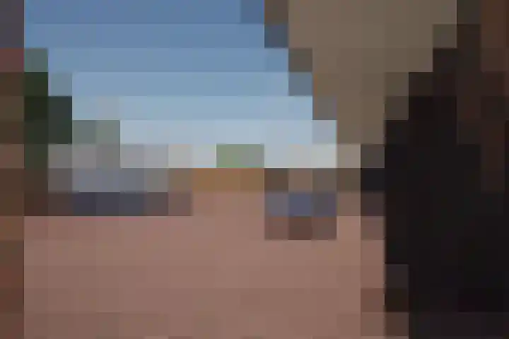 Schutteboom 3 Swalmen thumbnail 7