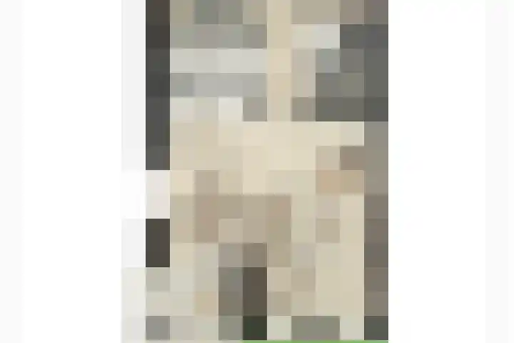 Schutteboom 3 Swalmen thumbnail 8