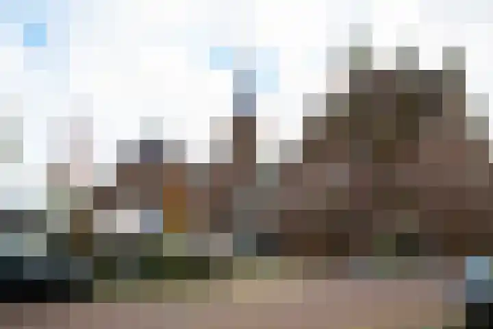 Schutteboom 3 Swalmen thumbnail 9
