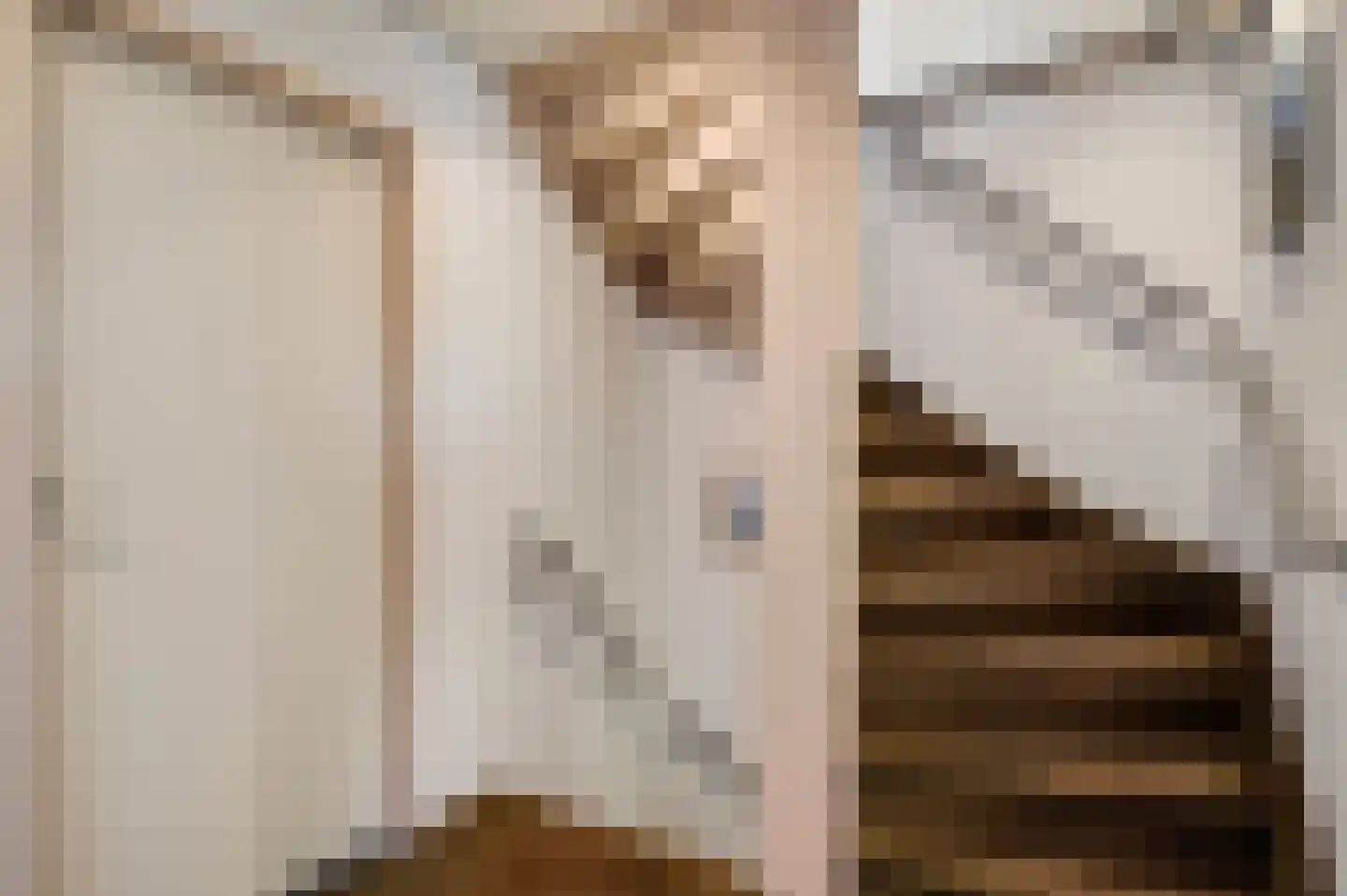 Schutteboom 6 Swalmen thumbnail 27
