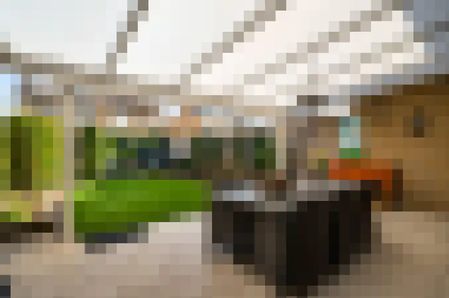 Schutteboom 6 Swalmen thumbnail 31