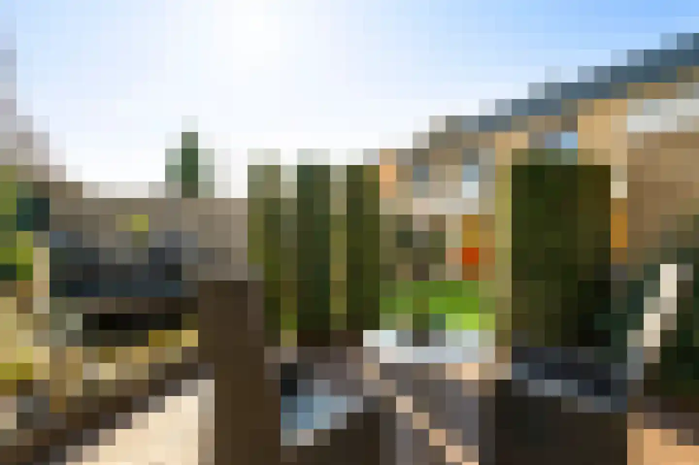 Schutteboom 6 Swalmen thumbnail 33
