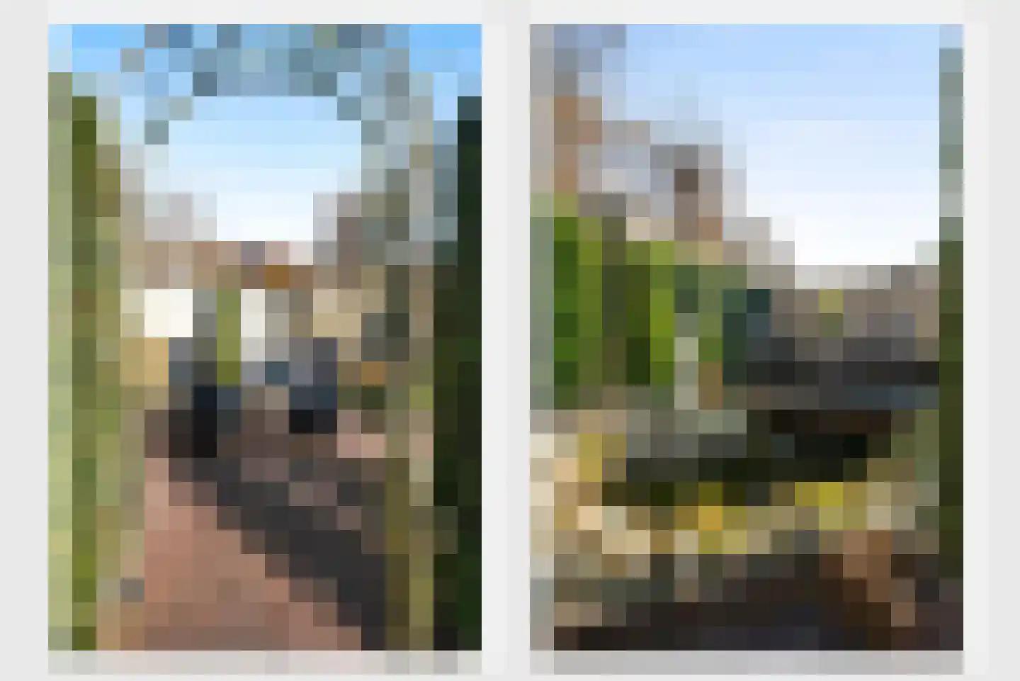 Schutteboom 6 Swalmen thumbnail 35