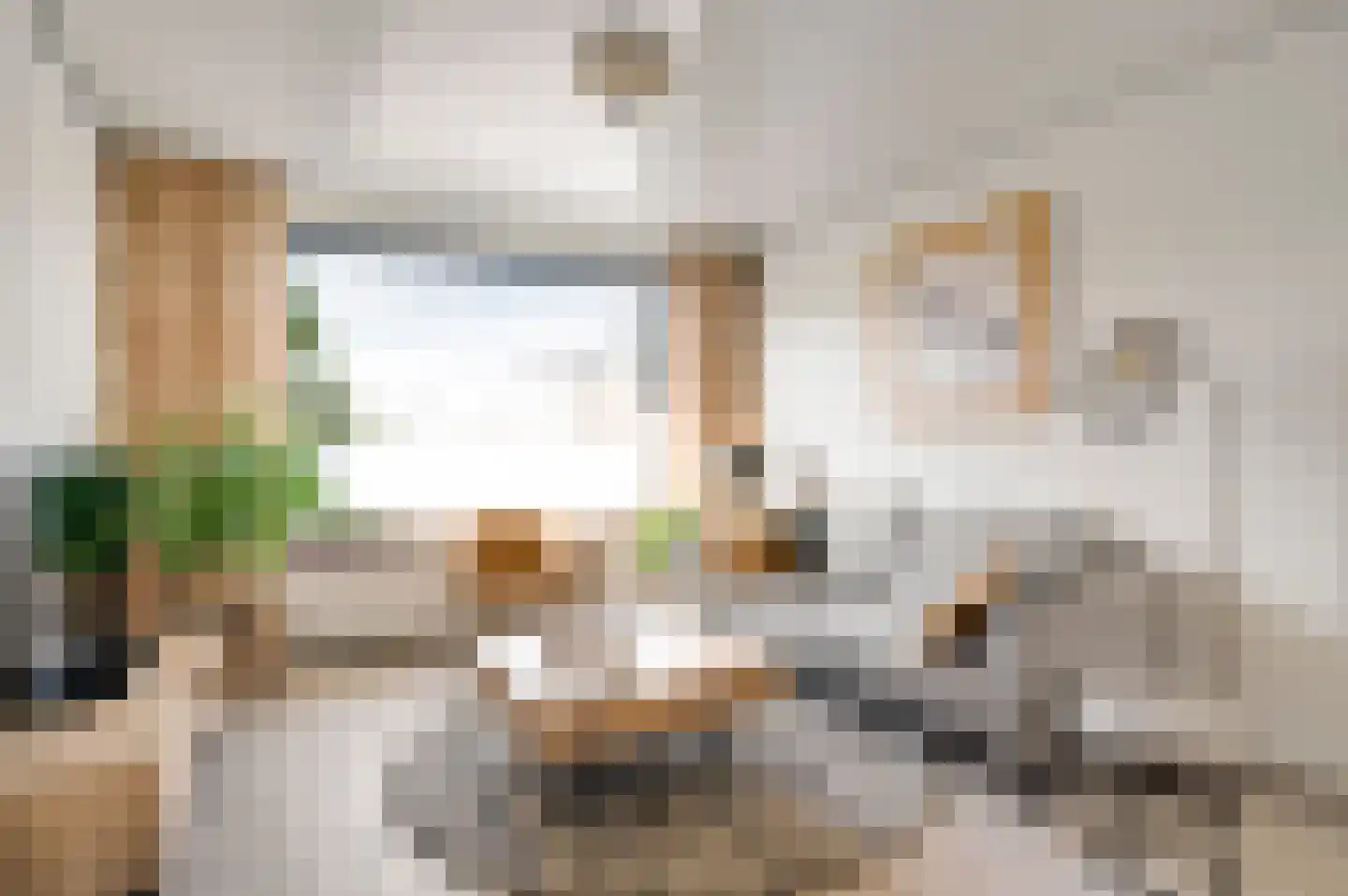 Schutteboom 6 Swalmen thumbnail 5