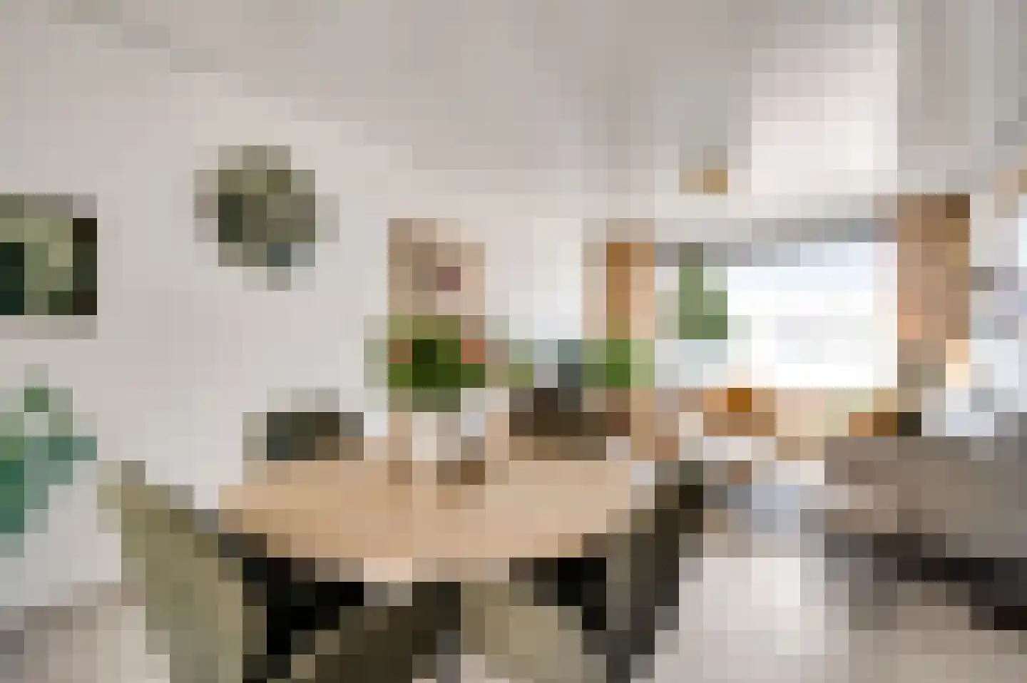 Schutteboom 6 Swalmen thumbnail 7