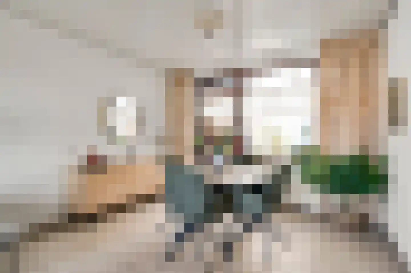 Schutteboom 6 Swalmen thumbnail 8