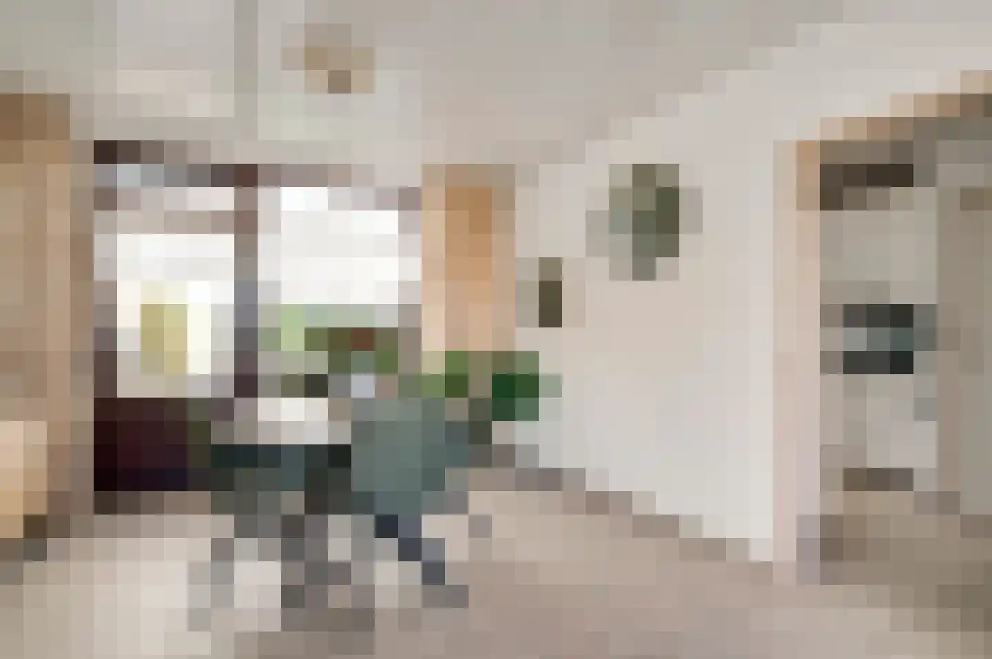 Schutteboom 6 Swalmen thumbnail 9