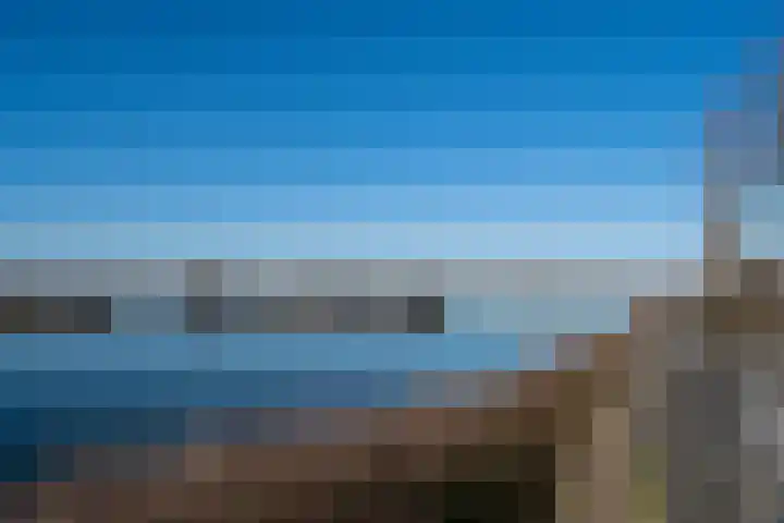 Schutteboom 7 Swalmen thumbnail 12