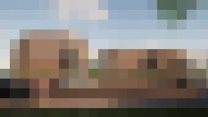 Schutteboom 7 Swalmen thumbnail 13