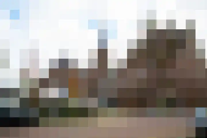 Schutteboom 7 Swalmen thumbnail 8