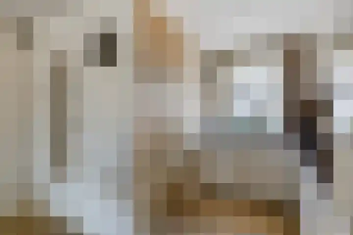 Schuttebreek 10 Landsmeer thumbnail 11