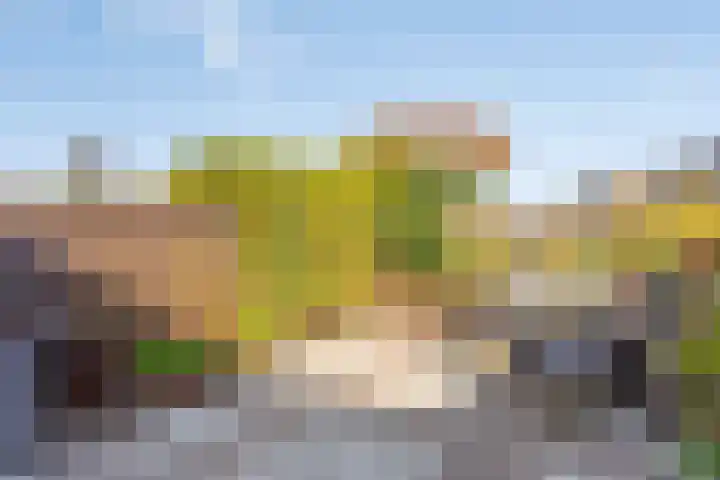 Schuttebreek 10 Landsmeer thumbnail 15