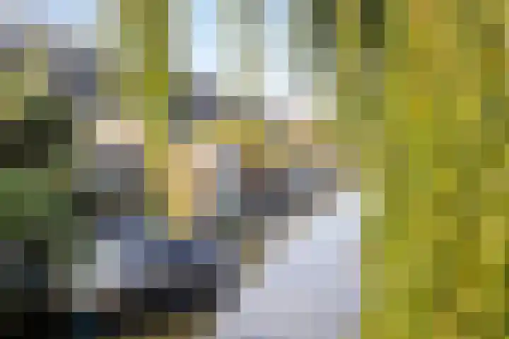 Schuttebreek 10 Landsmeer thumbnail 16