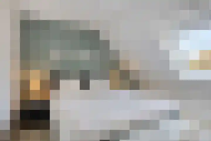 Schuttebreek 10 Landsmeer thumbnail 17