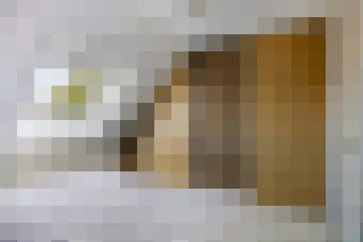 Schuttebreek 10 Landsmeer thumbnail 18